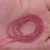 Rubellite